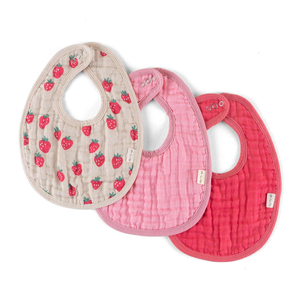 Itzy Ritzy Bibs Strawberries & Cream