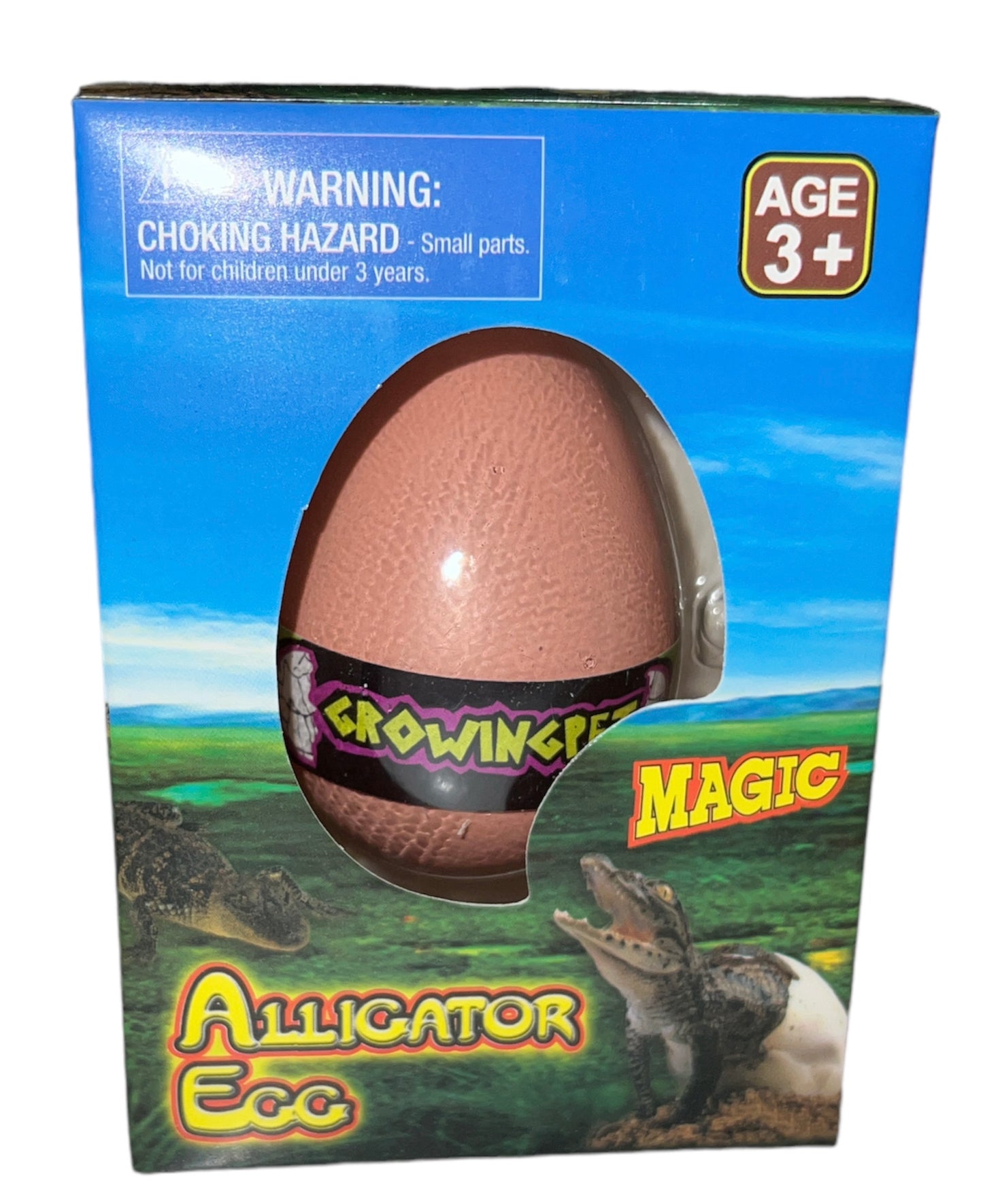 Alligator Hatch Egg