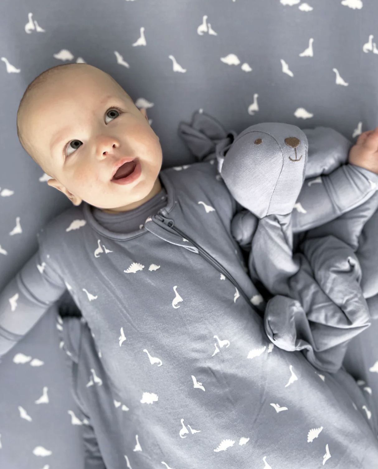 Dino Sleep Bag 3-9m