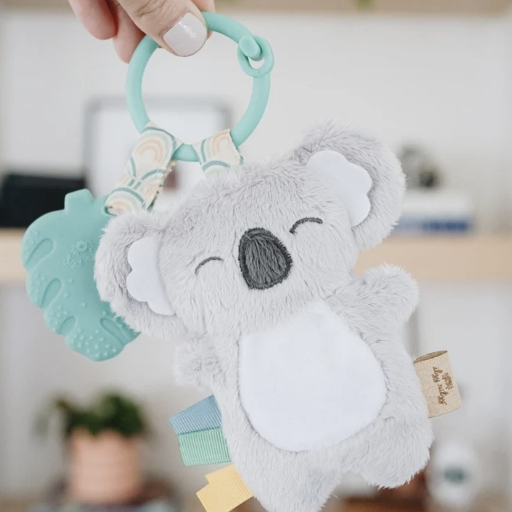 Itzy Koala Pal