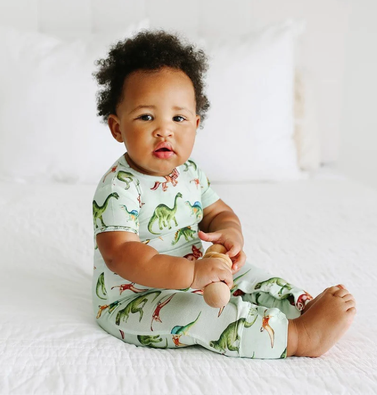 Posh Peanut Buddy Short Sleeve Basic Romper