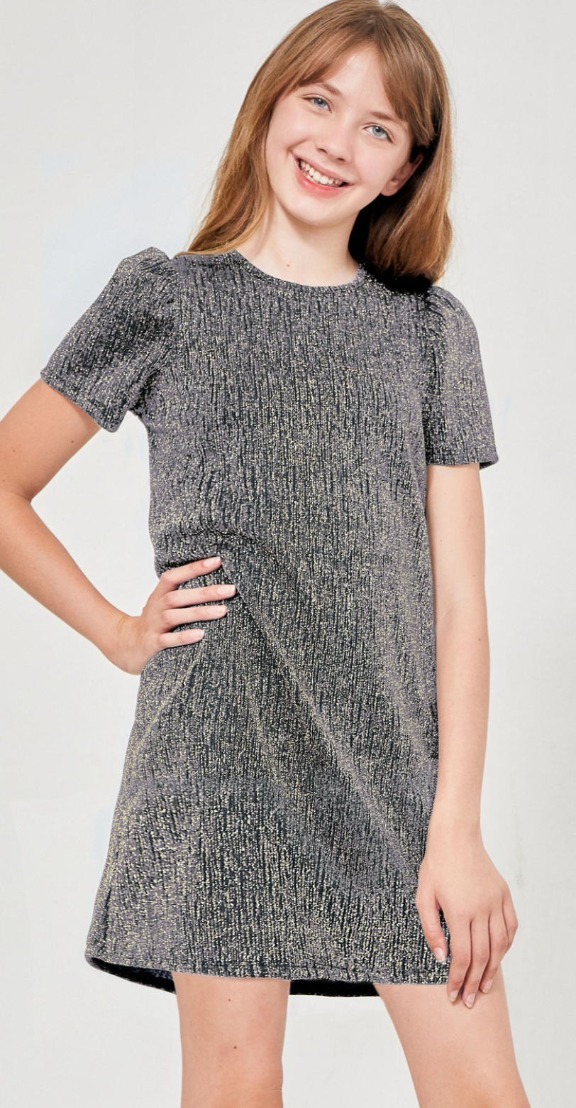 Silver Puff Sleeve Glitter Dress