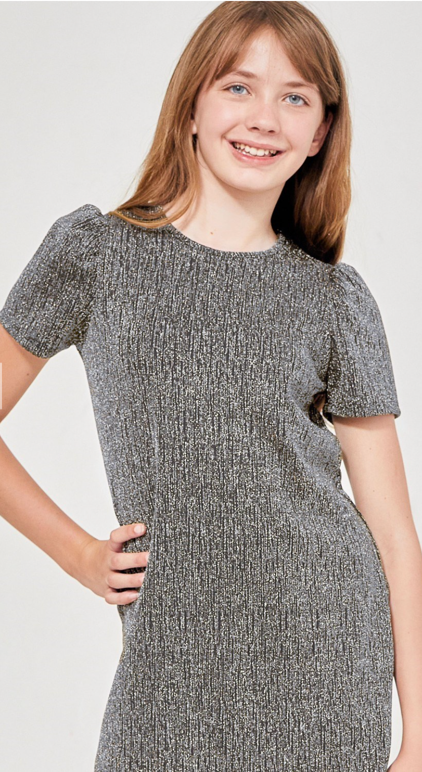 Silver Puff Sleeve Glitter Dress