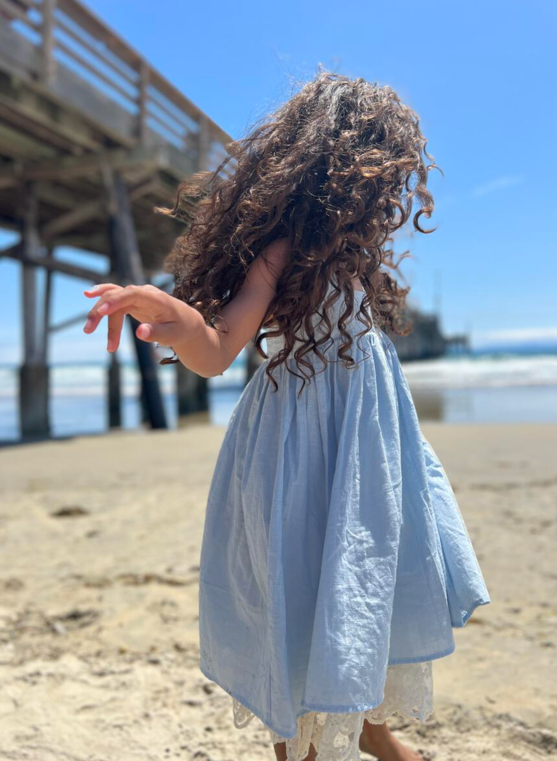 Marin Reversible Dress Blue