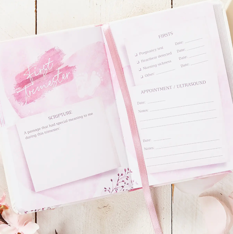 I Love You Already (Devotional For Expecting Mothers)
