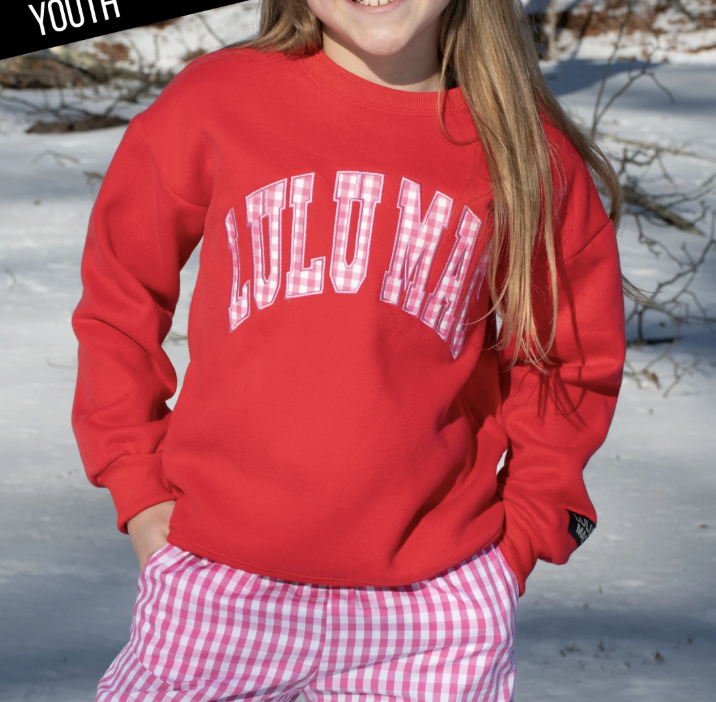 Lulu Mac Youth Red/Pink Gingham Sweatshirt