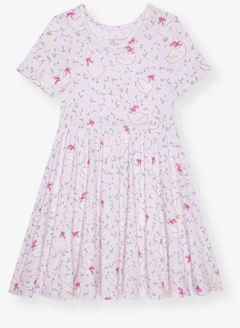 Posh Peanut Twirl Dress - Goose Blossoms