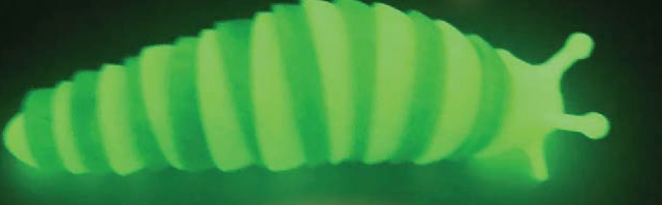 Fidget Slug