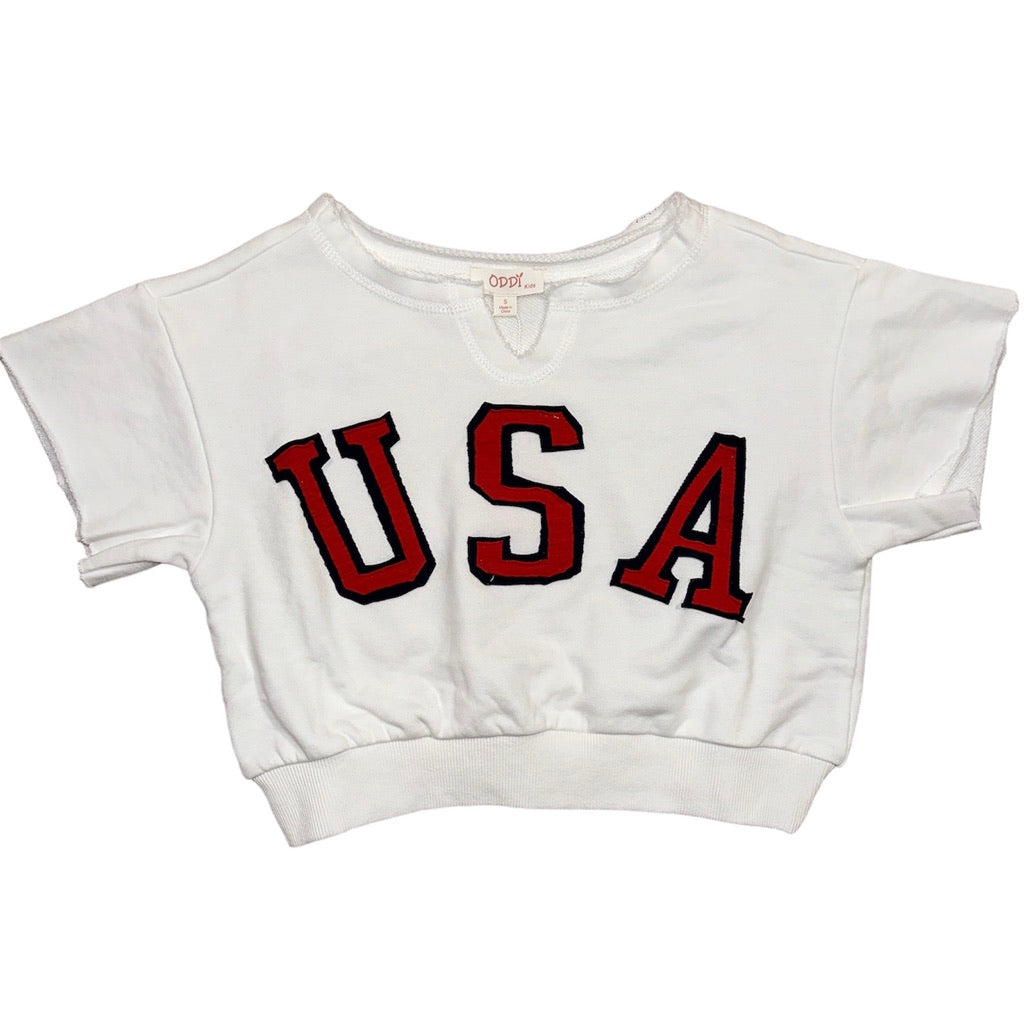 Red, White & USA Shirt