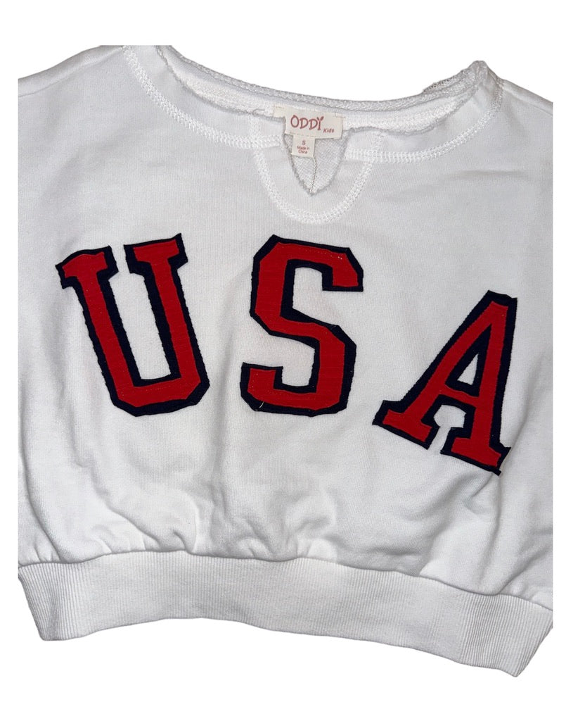 Red, White & USA Shirt