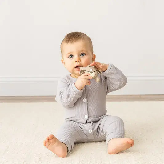 Puppy Ritzy Teether Baby Molar - Puppy