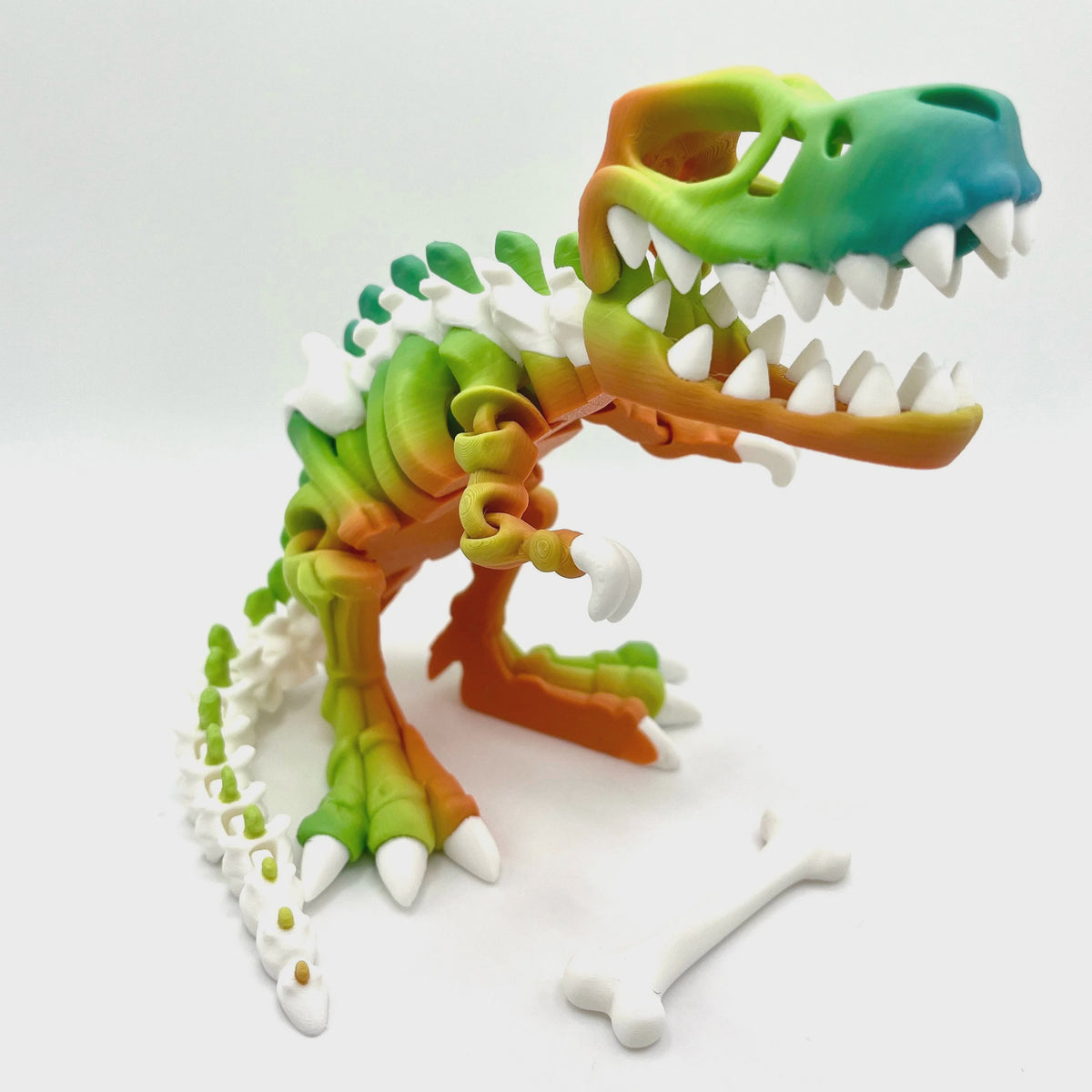 Bumpa Built Two Color TRex Skeleton Classic - Rainbow