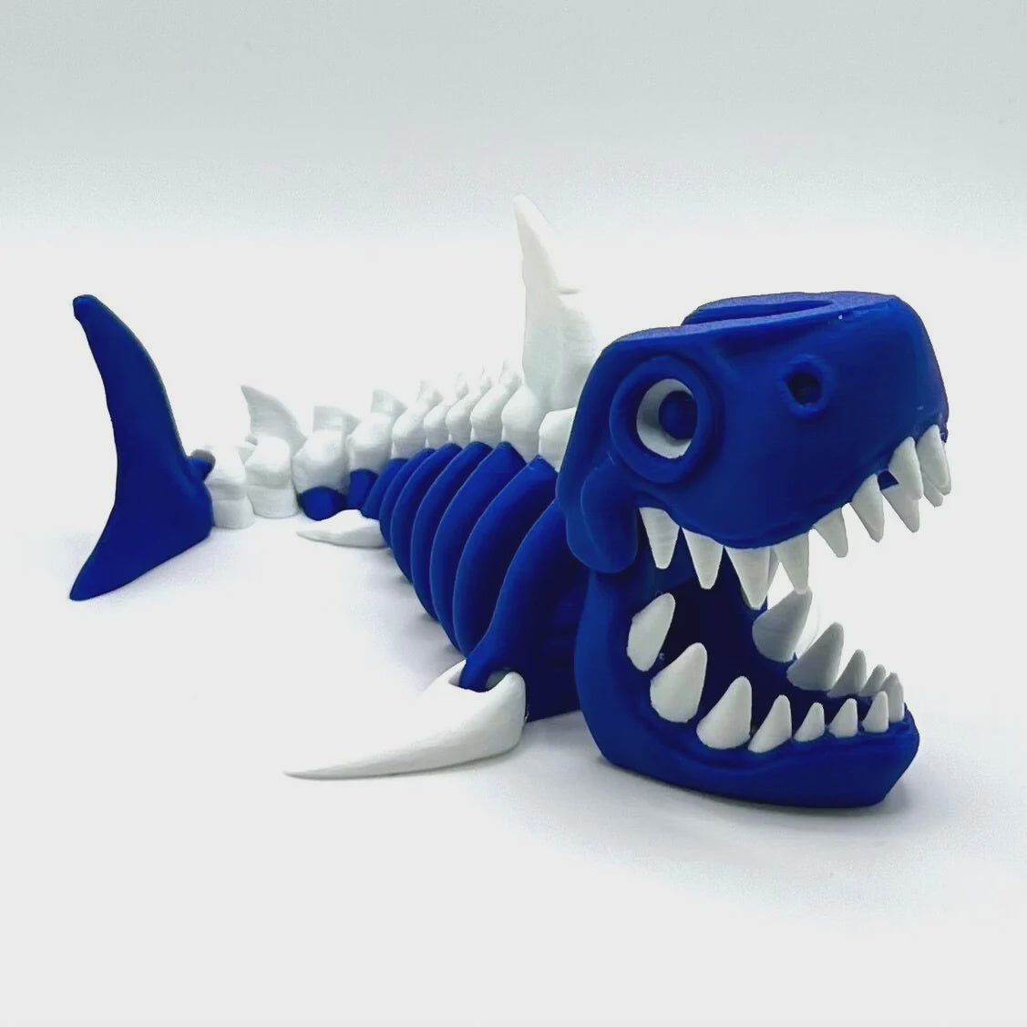 Bumpa Built Jumbo Shark Skeleton