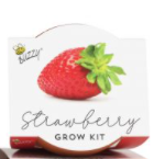 Strawberry Mini Grow Kit