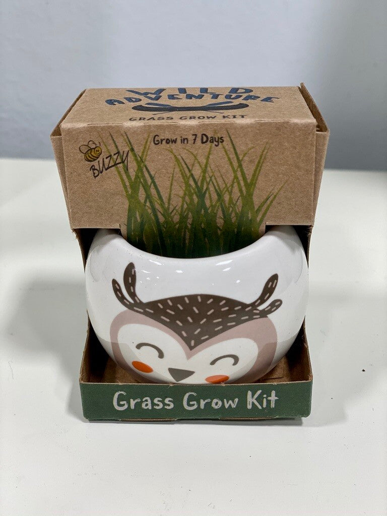 Owl Ceramic Kit