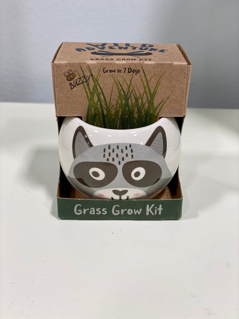 Raccoon Ceramic Kit