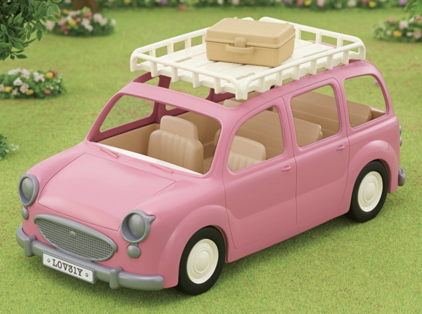 Family Picnic Van
