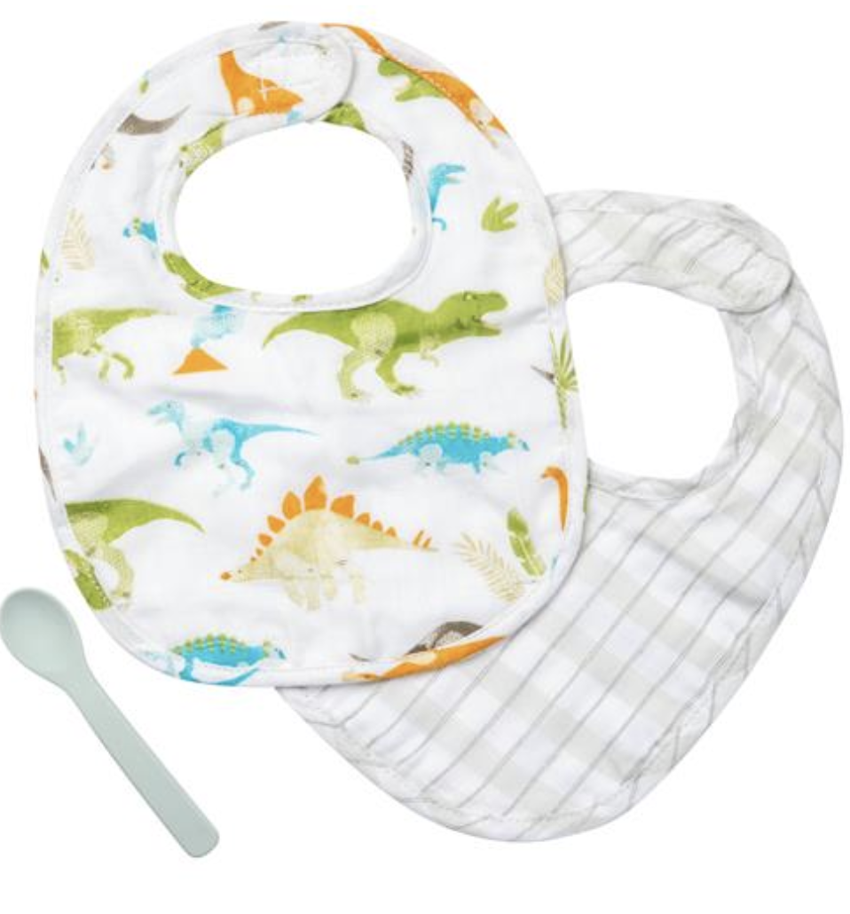 Dinosaur Muslin Bib Set