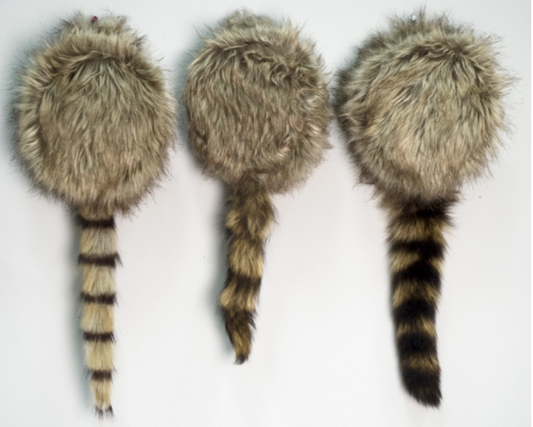 CoonSkin Cap