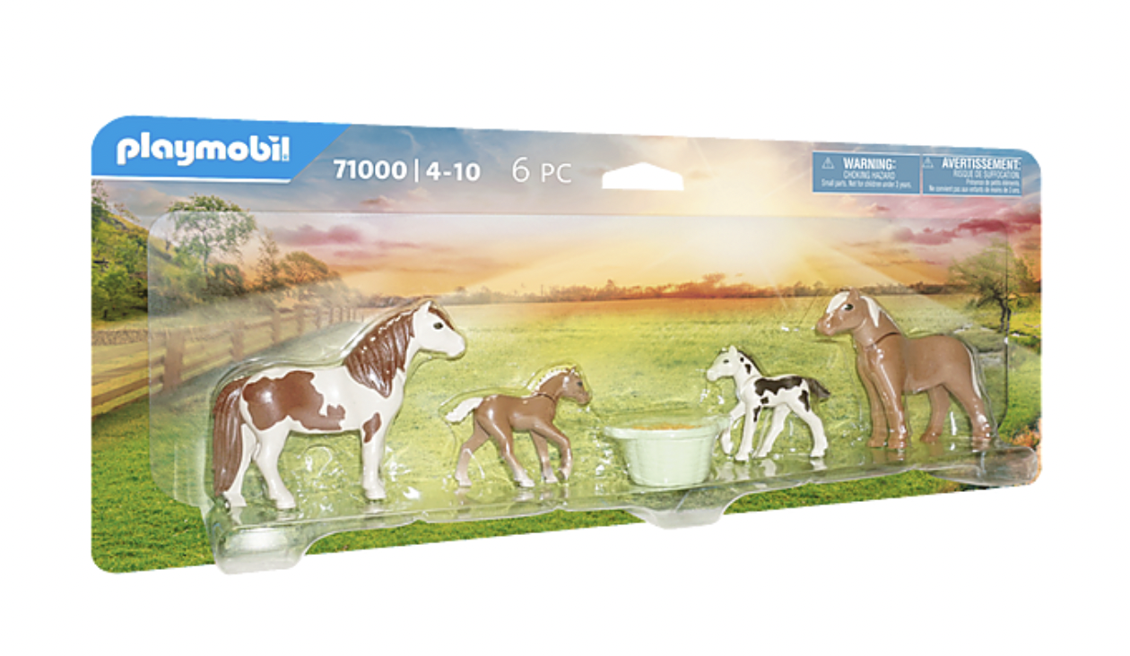 Icelandic Ponies with Foals