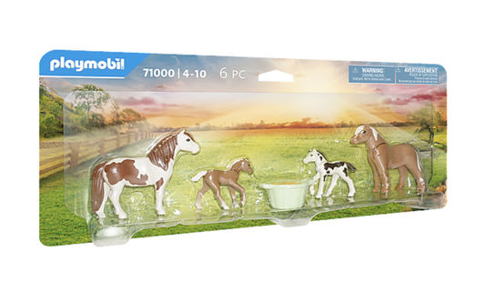 Icelandic Ponies with Foals