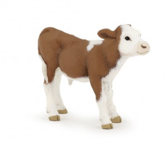 Simmental Calf
