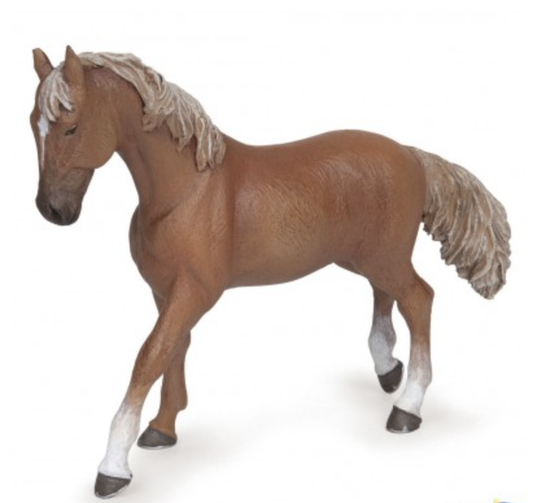 Alezan English Thoroughbred Mare