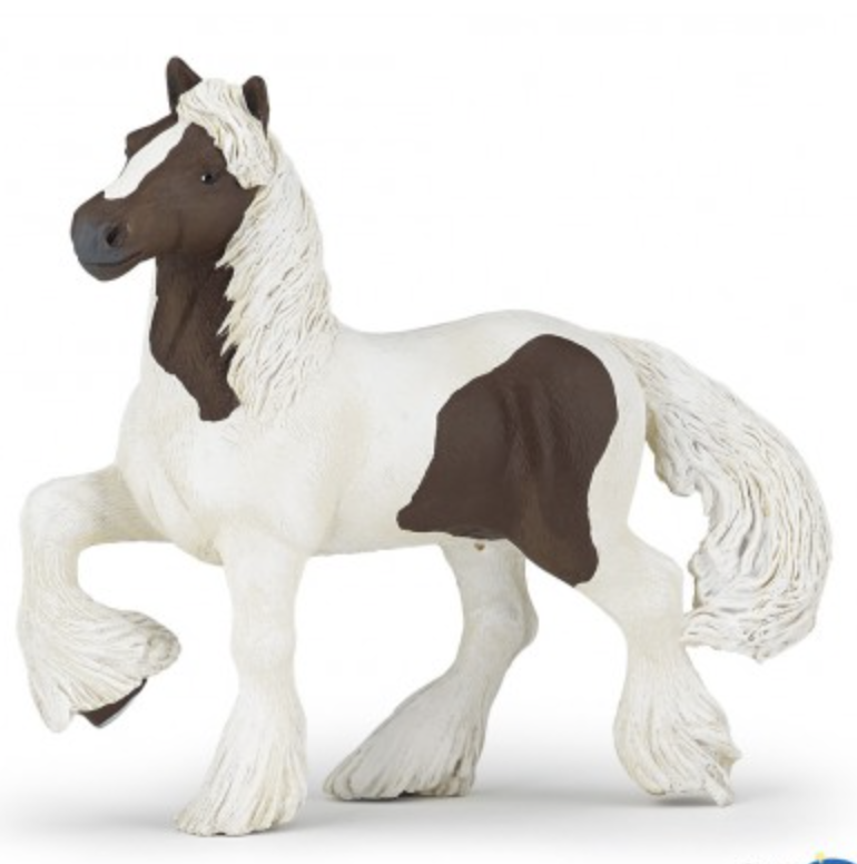 Skewbald Irish cob