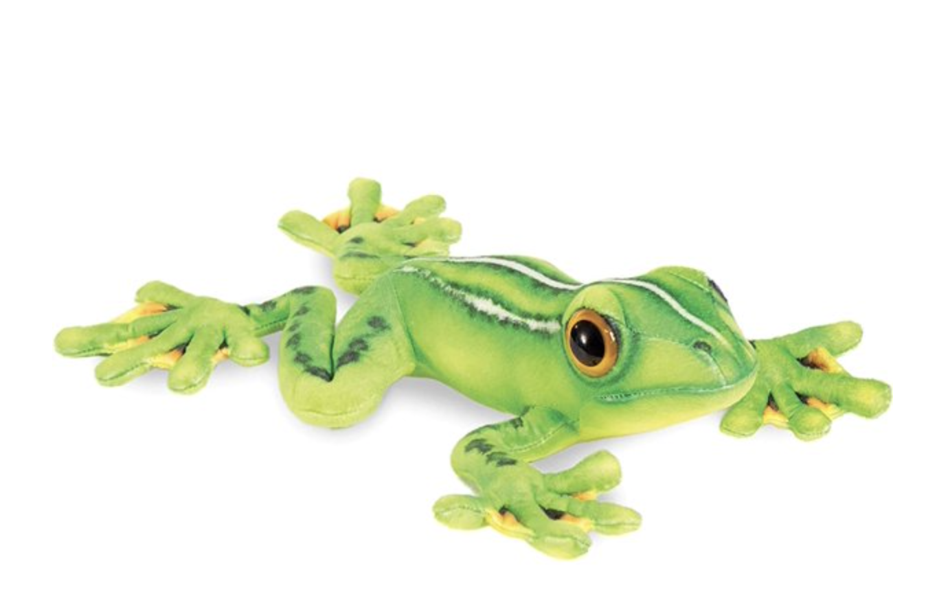 Tree Frog - Black Webbing 19"
