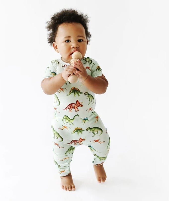 Posh Peanut outlet Dino Romper