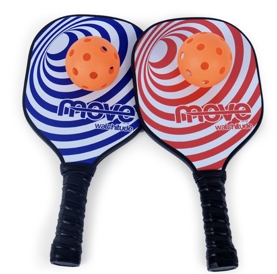 Indoor/Outdoor Pickleball Set