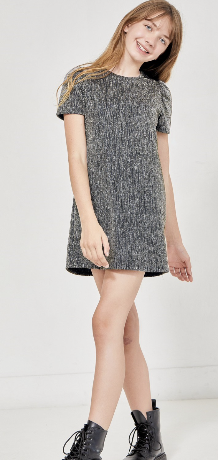 Silver Puff Sleeve Glitter Dress