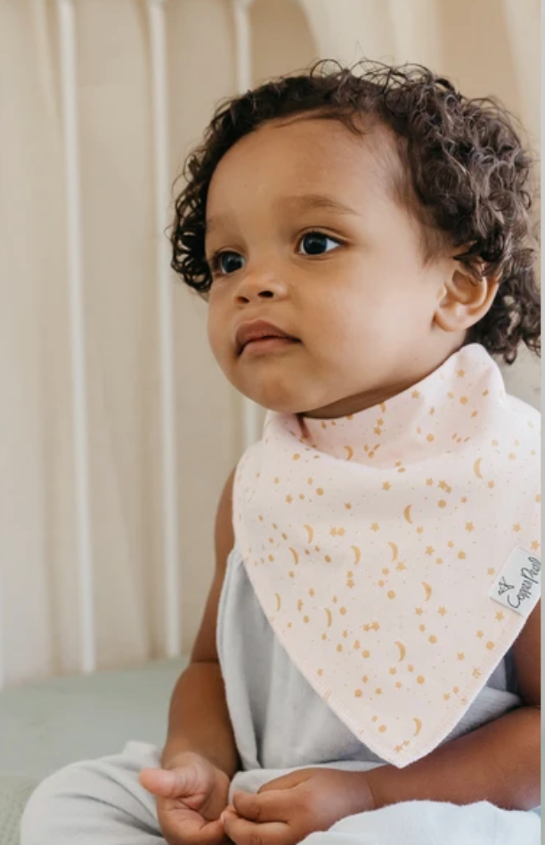 CP Whimsy Bandana Bibs