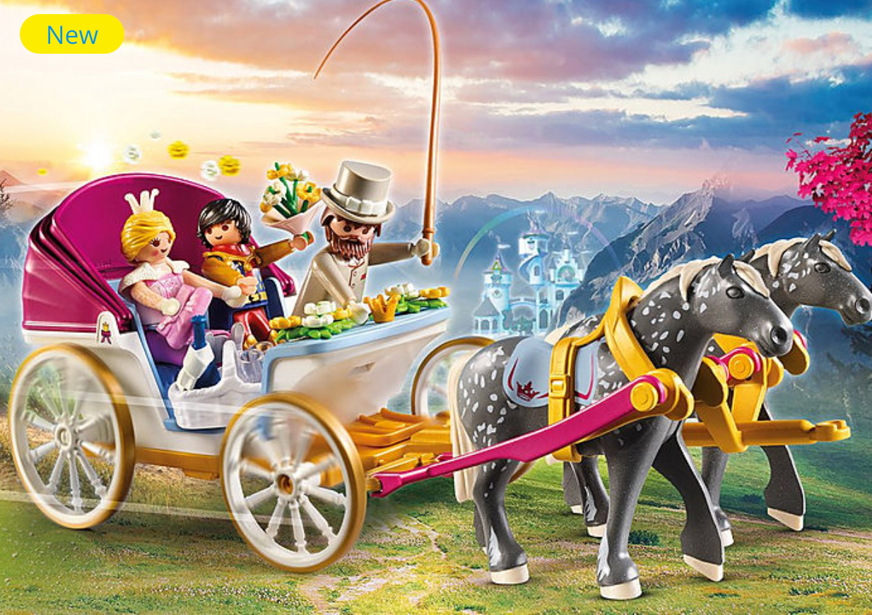 Horse Drawn Carriage