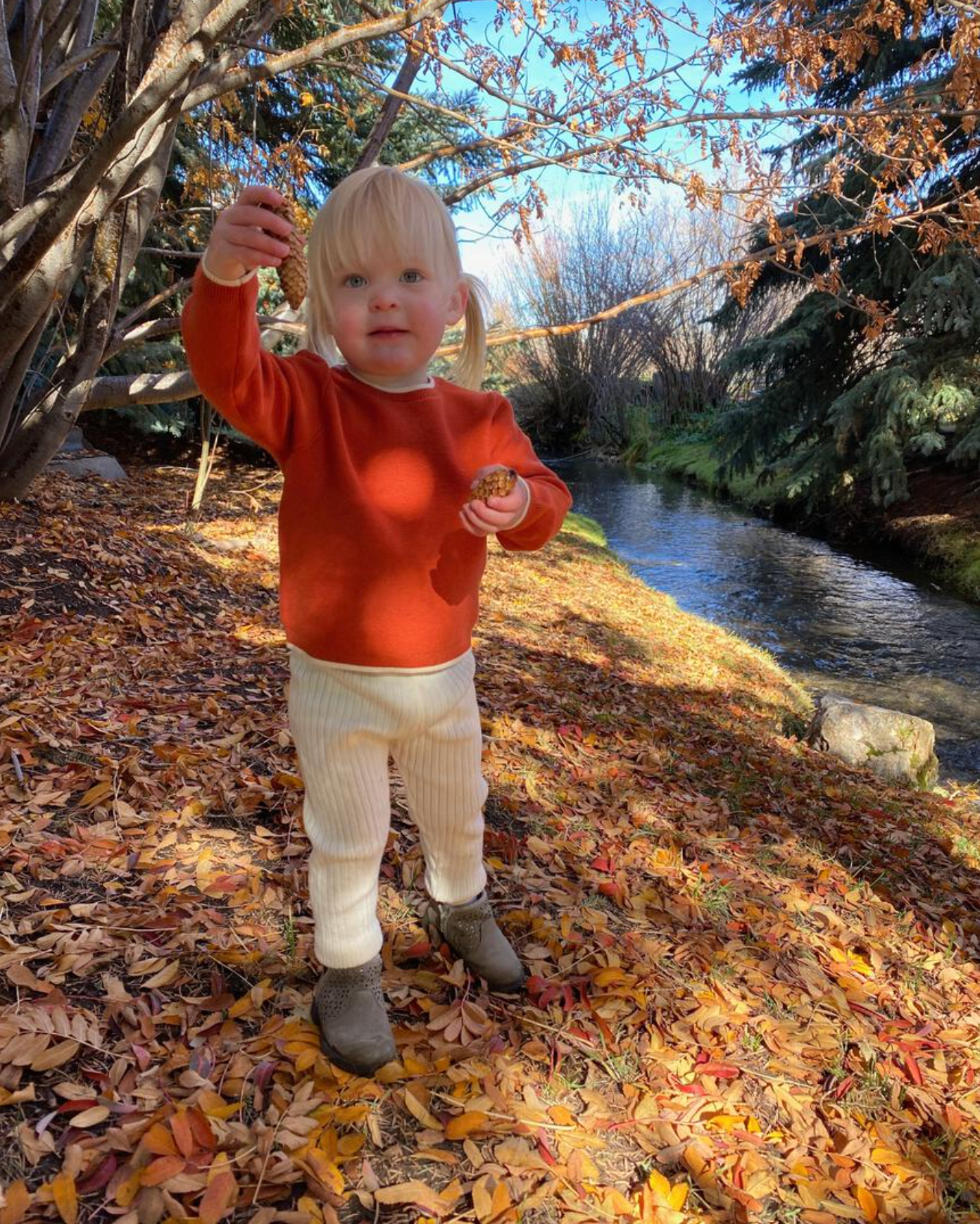 Pumpkin/Ivory Knit Penryn Sweater