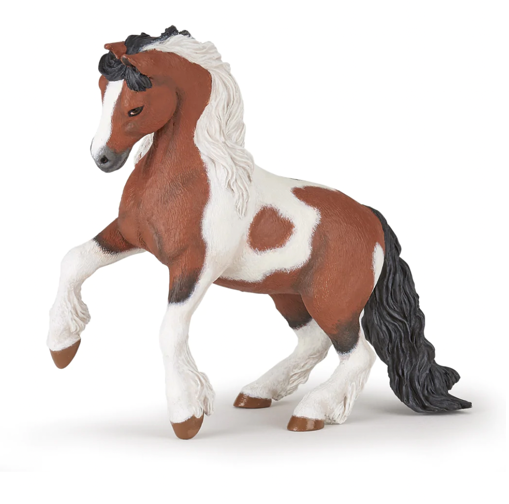 Irish Cob