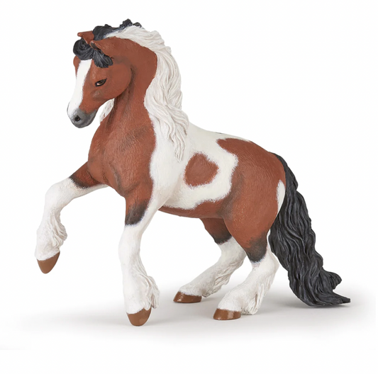 Irish Cob