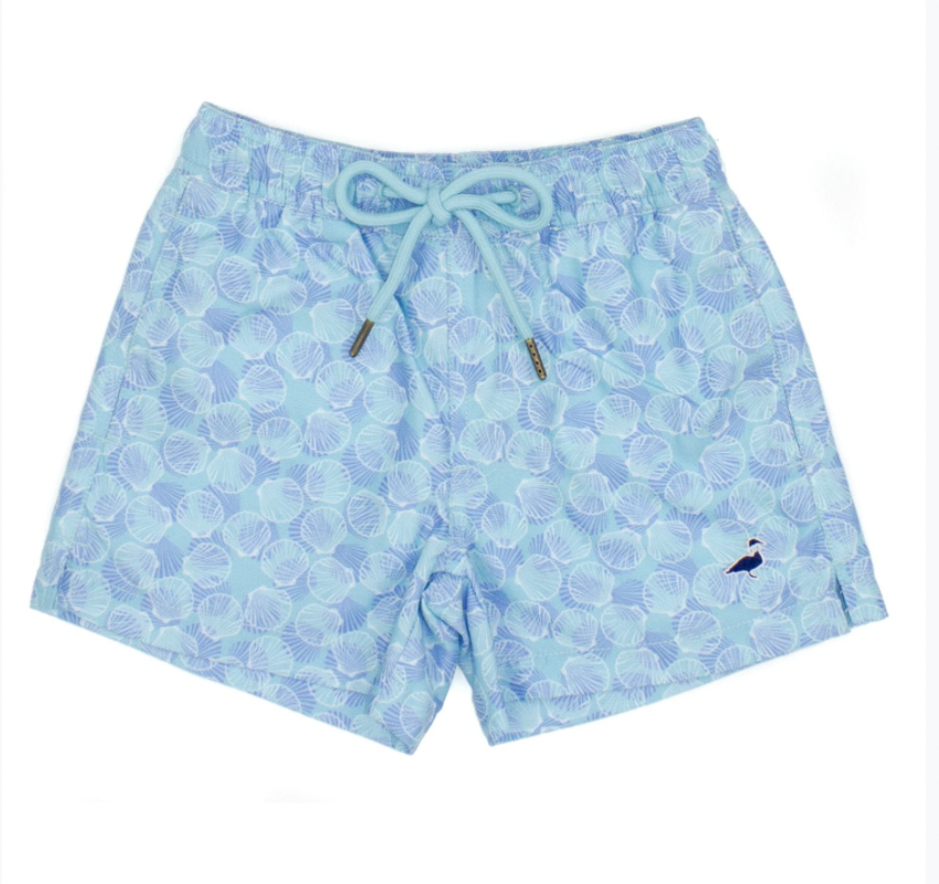 Properly Tied Swim Trunk Seashell
