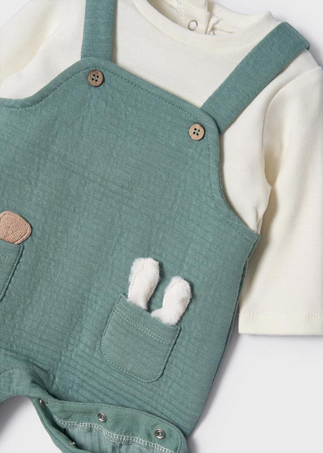 Bunny Ears Sage Footie