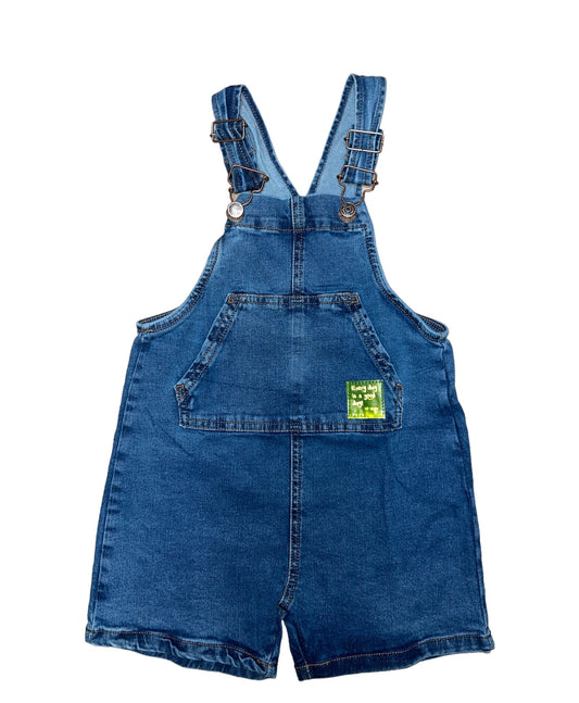 Denim Overalls