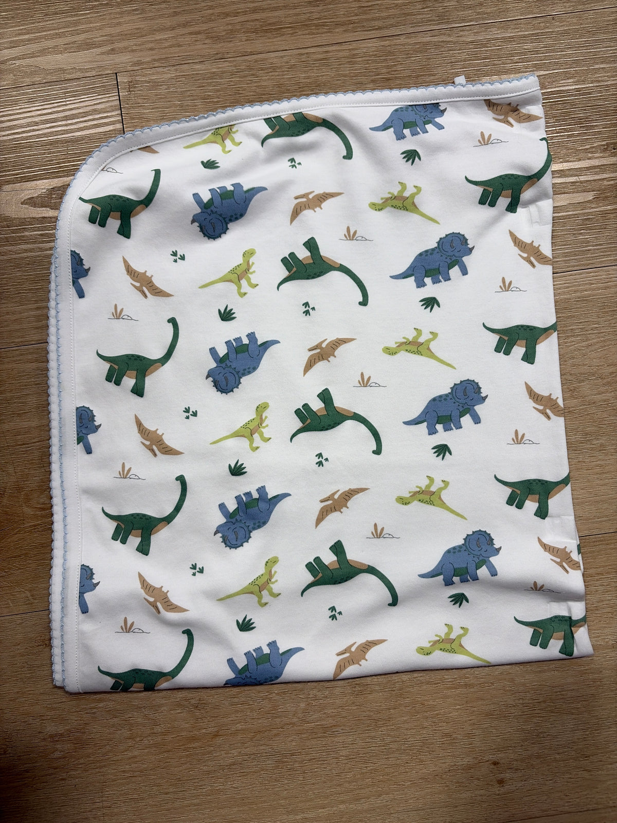 LB Dino World Blanket