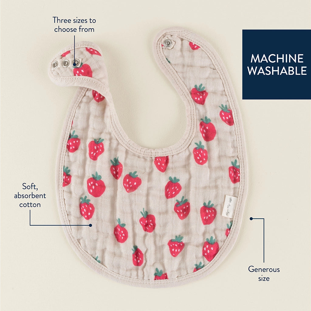 Itzy Ritzy Bibs Strawberries & Cream