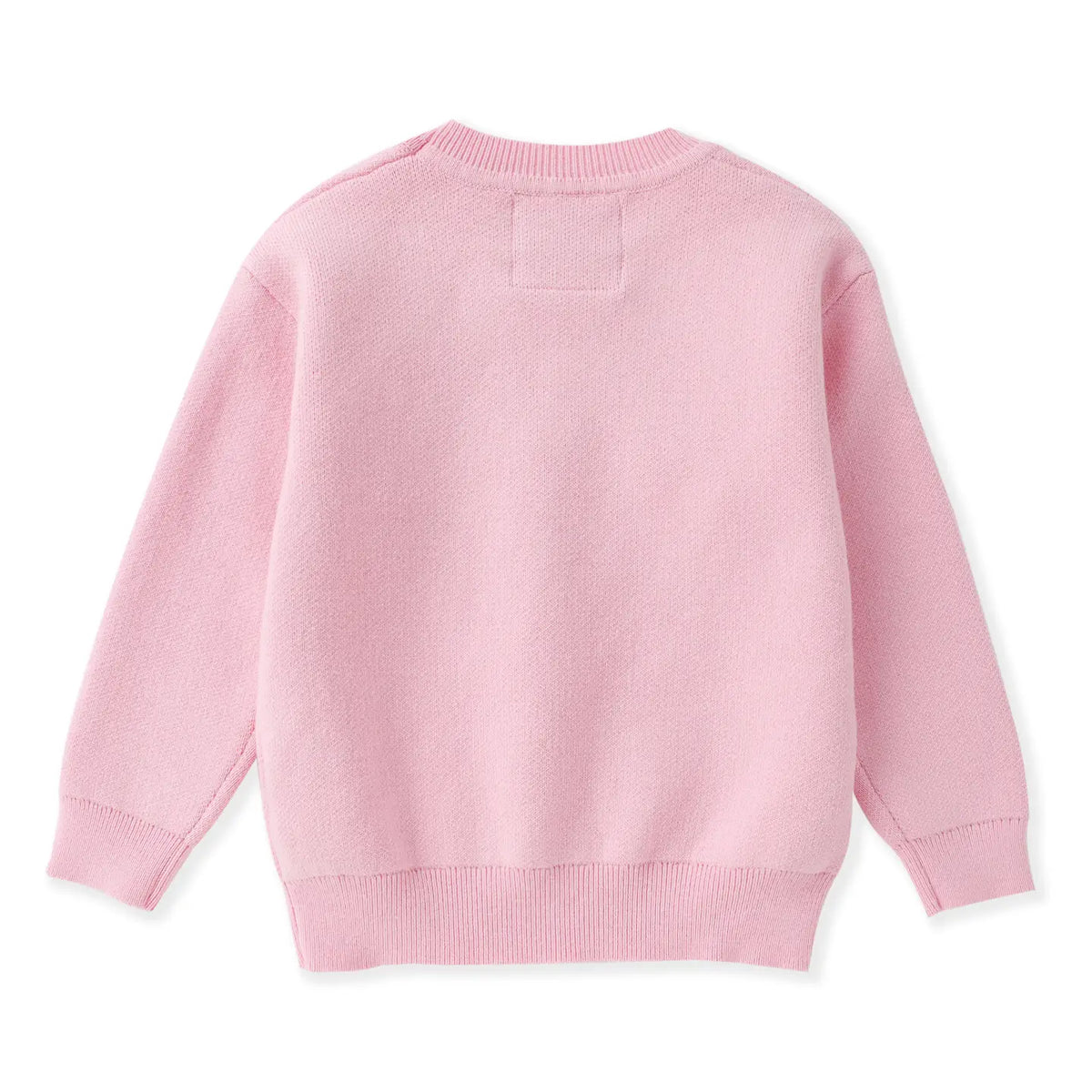 Lil Cactus Sweater with Glitter Bow