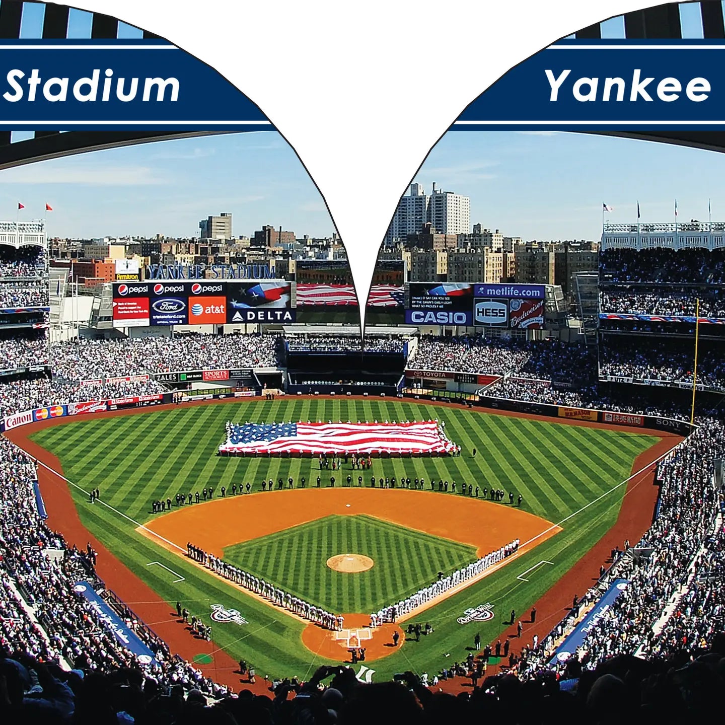 New York Yankees 101 - My First Team Board Book