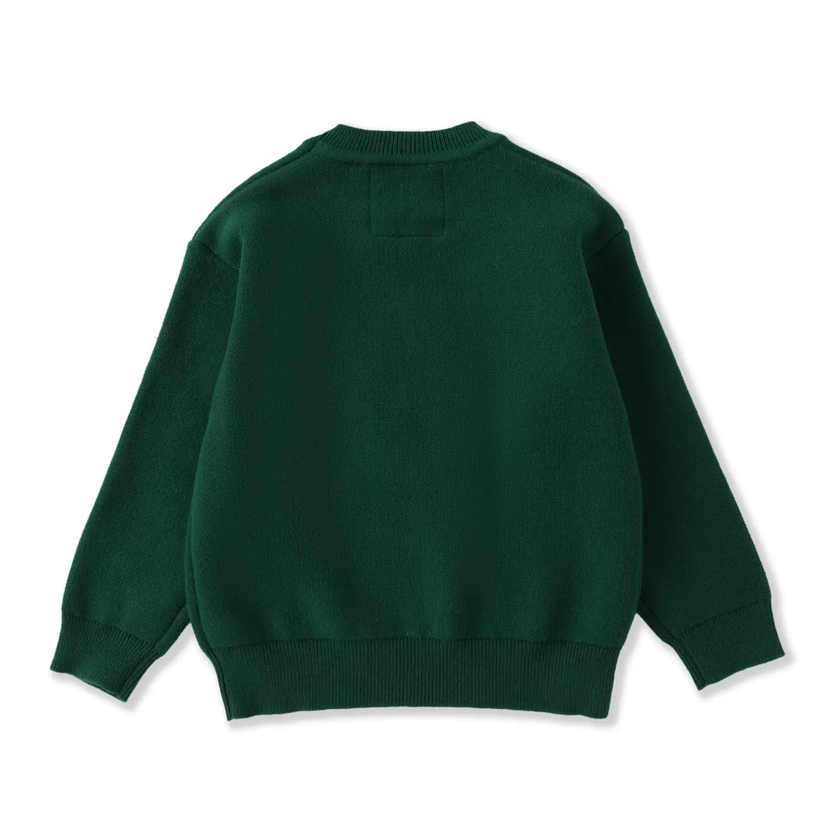 Lil Cactus Green Santa Christmas Sweater