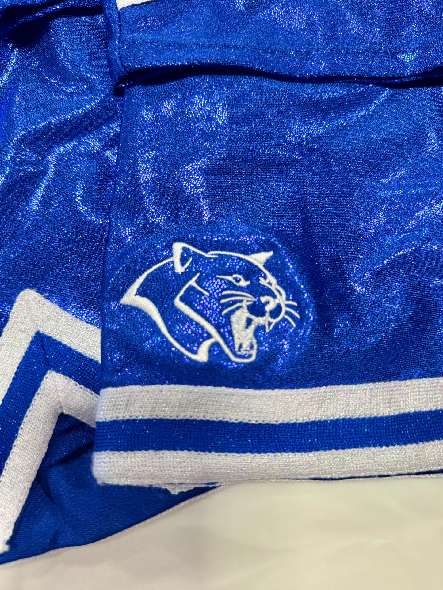 Cheer Skirt Monogram (ALL SCHOOLS)
