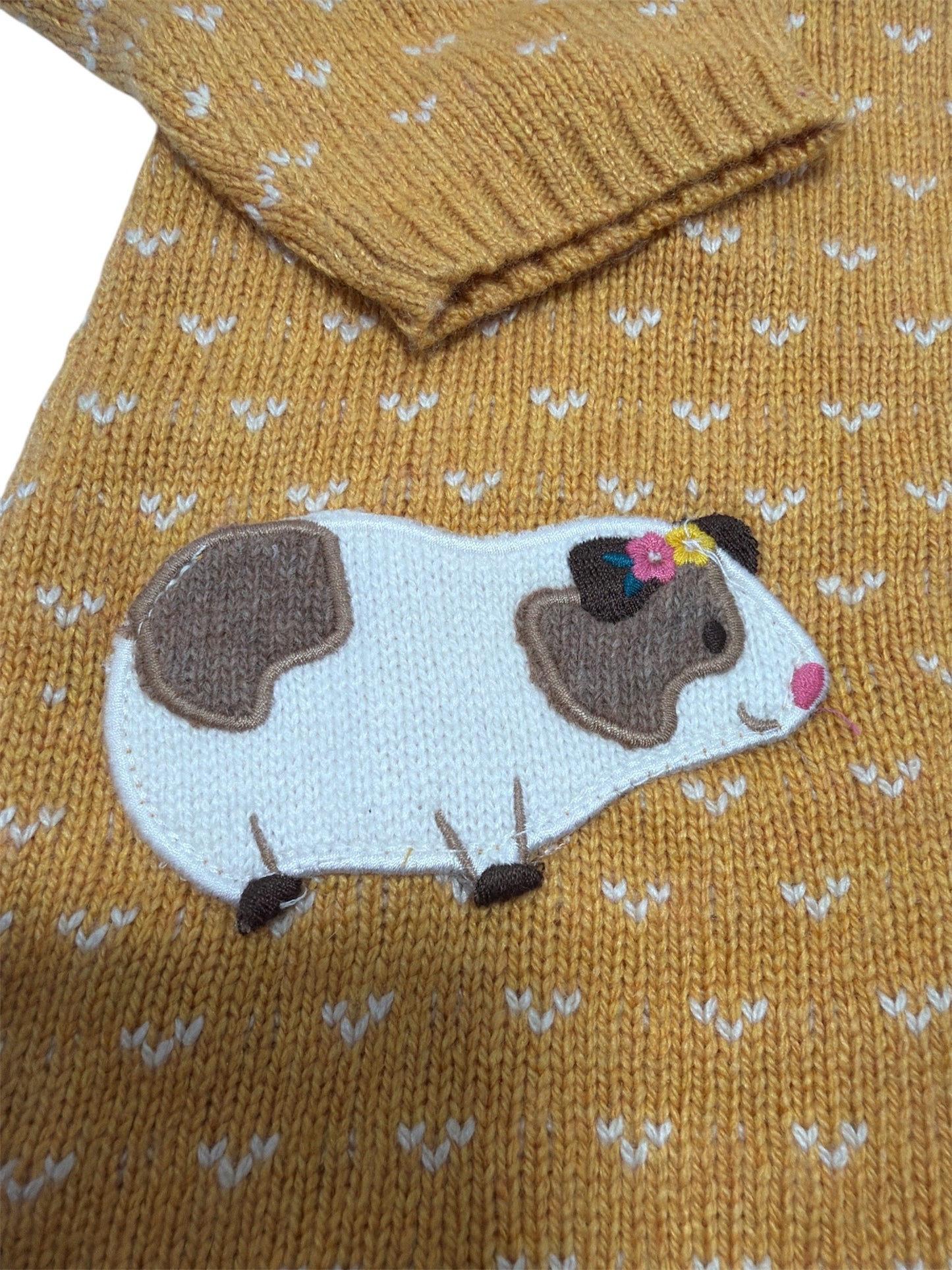 Guinea Pig Fair Isle Dress