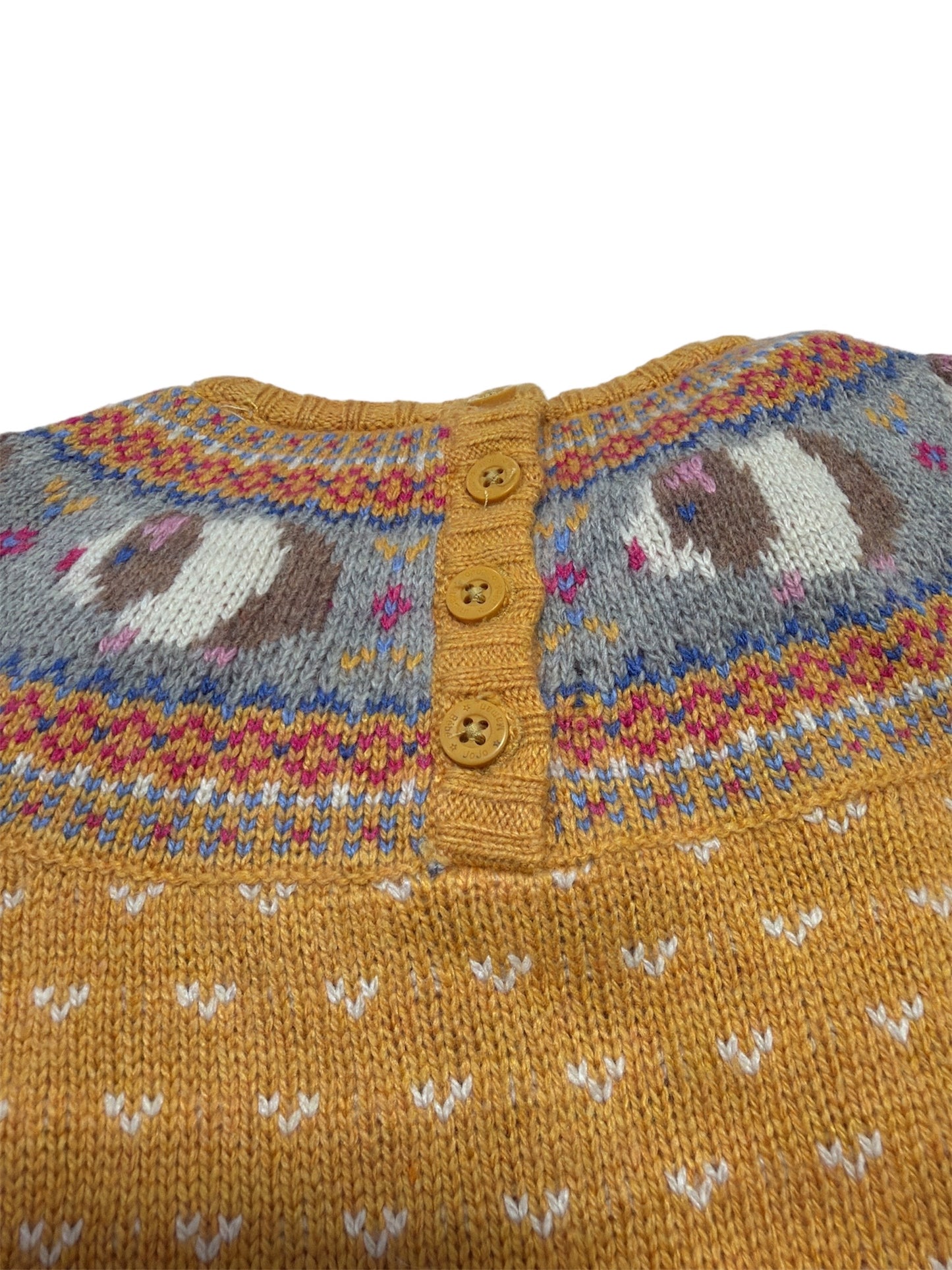 Guinea Pig Fair Isle Dress