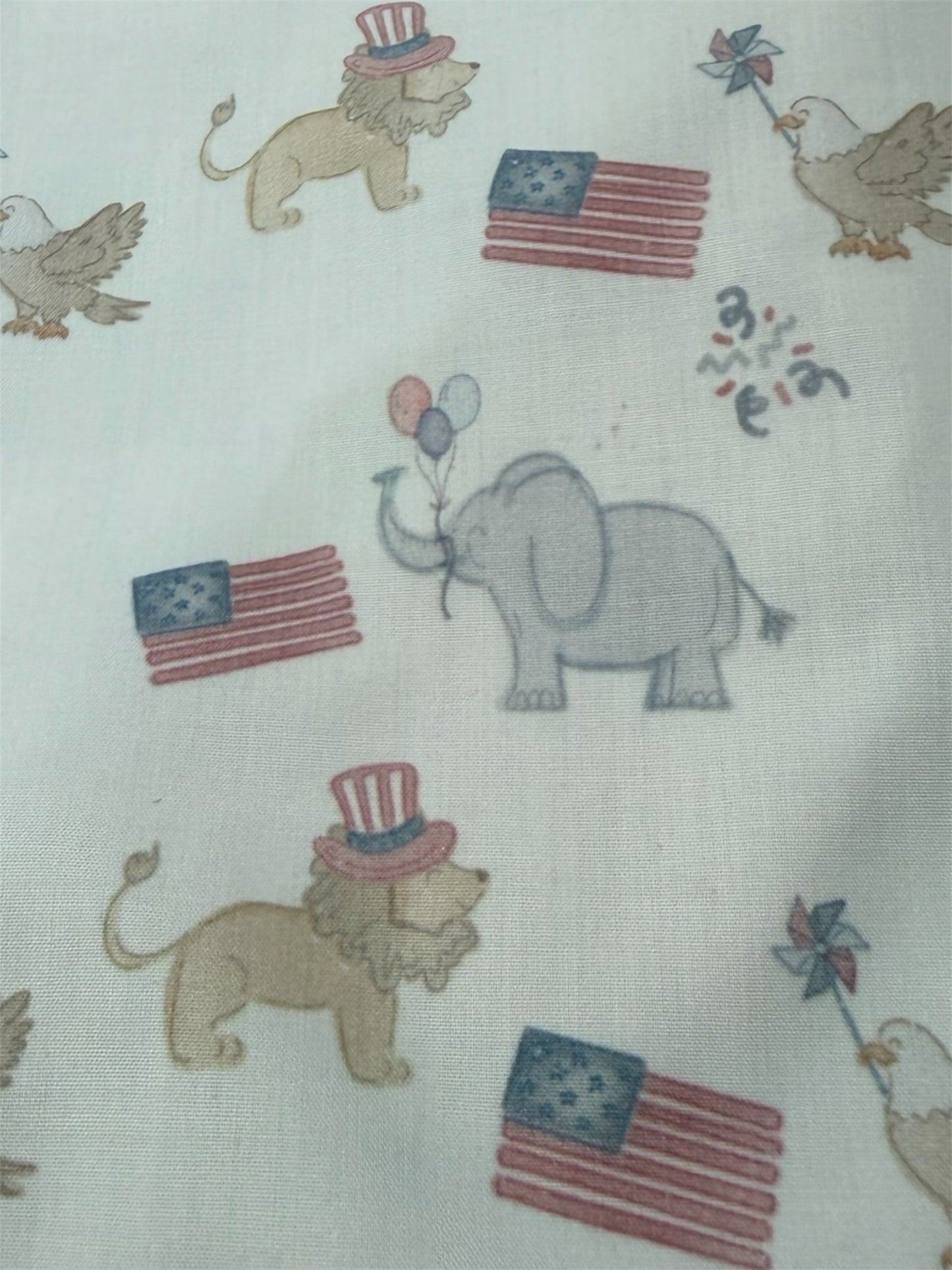 City Beautiful Patriotic Print Girl Swing Back