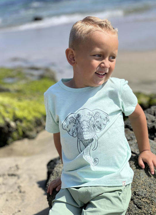 Falmouth Elephant Tee